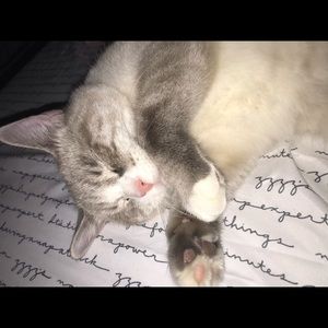 Meet your Posher, Rui